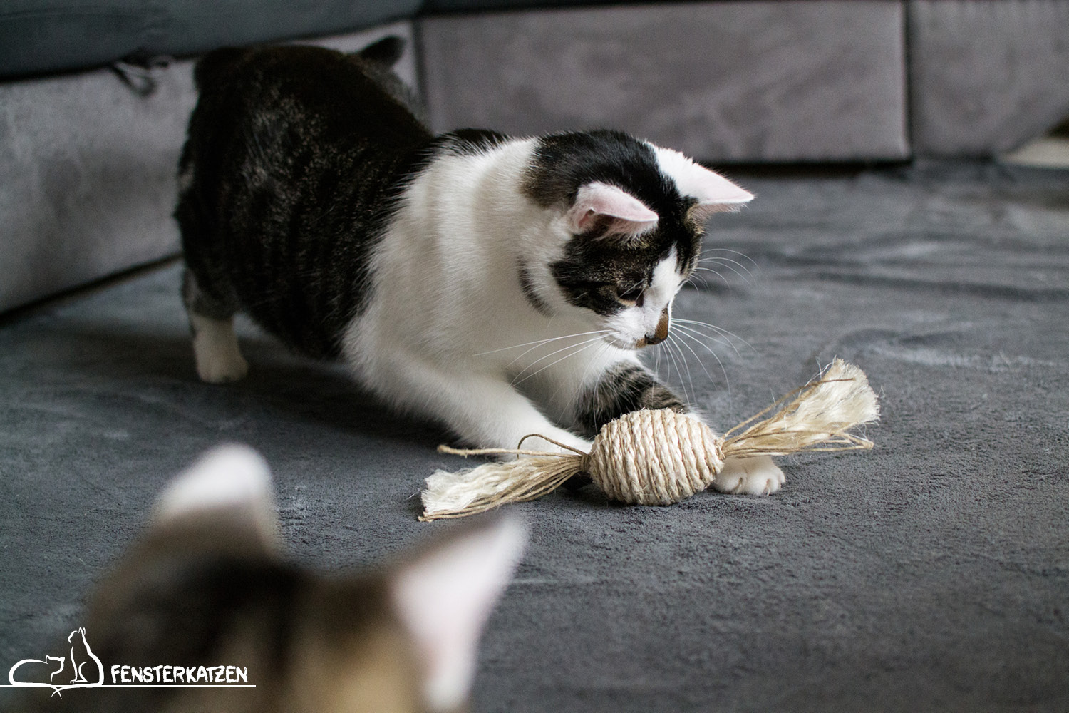 Beitragsbild Getestet Produkttest Sisalbonbon Leylah's Sisalträume Katzenspielzeug Sisal