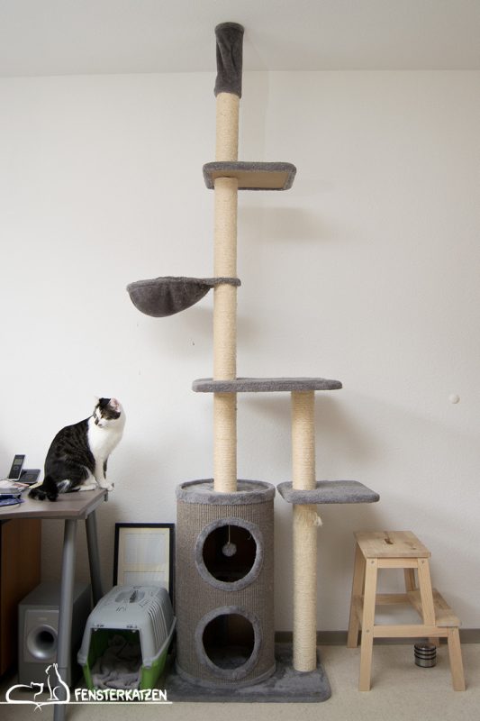 Fensterkatzen_Getestet_Kratzbaum-Filou-Bontoy_Übersicht
