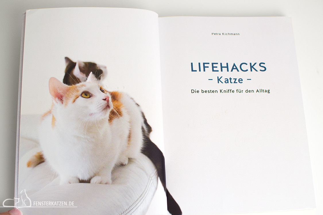 Fensterkatzen_Do-It-Yourself_Buch-Lifehacks-Katze_Alternative-Cover