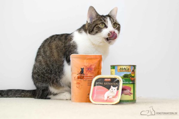 Fensterkatzen-Ratgeber-Dosen-Pouches-Schälchen-Titelbild