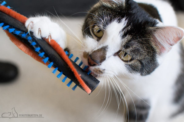 Fensterkatzen-Getestet-Akku-Staubsauger-SpeedPro-Max-Philips-Flash-Bürste-Saugduese