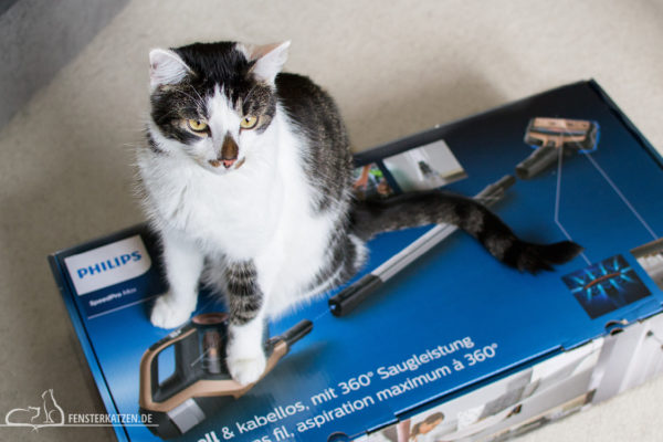 Fensterkatzen-Getestet-Akku-Staubsauger-SpeedPro-Max-Philips-Flash-Karton