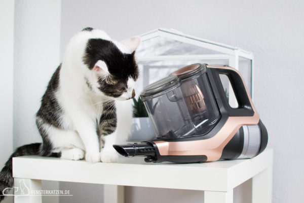 Fensterkatzen-Getestet-Akku-Staubsauger-SpeedPro-Max-Philips-Handstaubsauger-Flash
