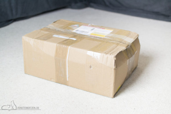 Fensterkatzen-Alltag-Tauschpaket-Katze-Kitten-Kater-Karton