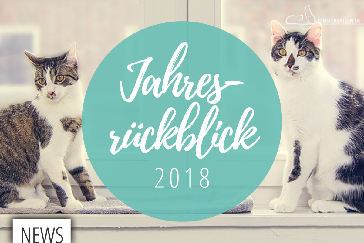 Fensterkatzen-News-Jahresrueckblick-2018-TItelbild