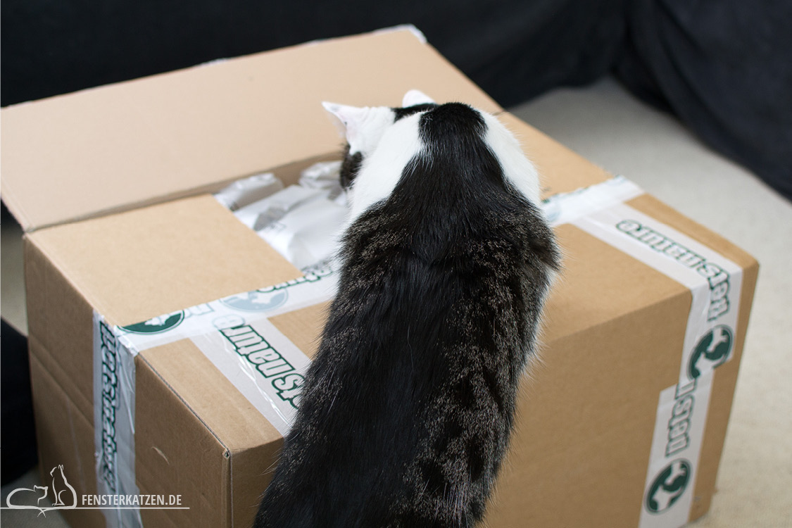 Fensterkatzen_Getestet_Catz-Finefood-Pets-Nature_Flash-am-Karton