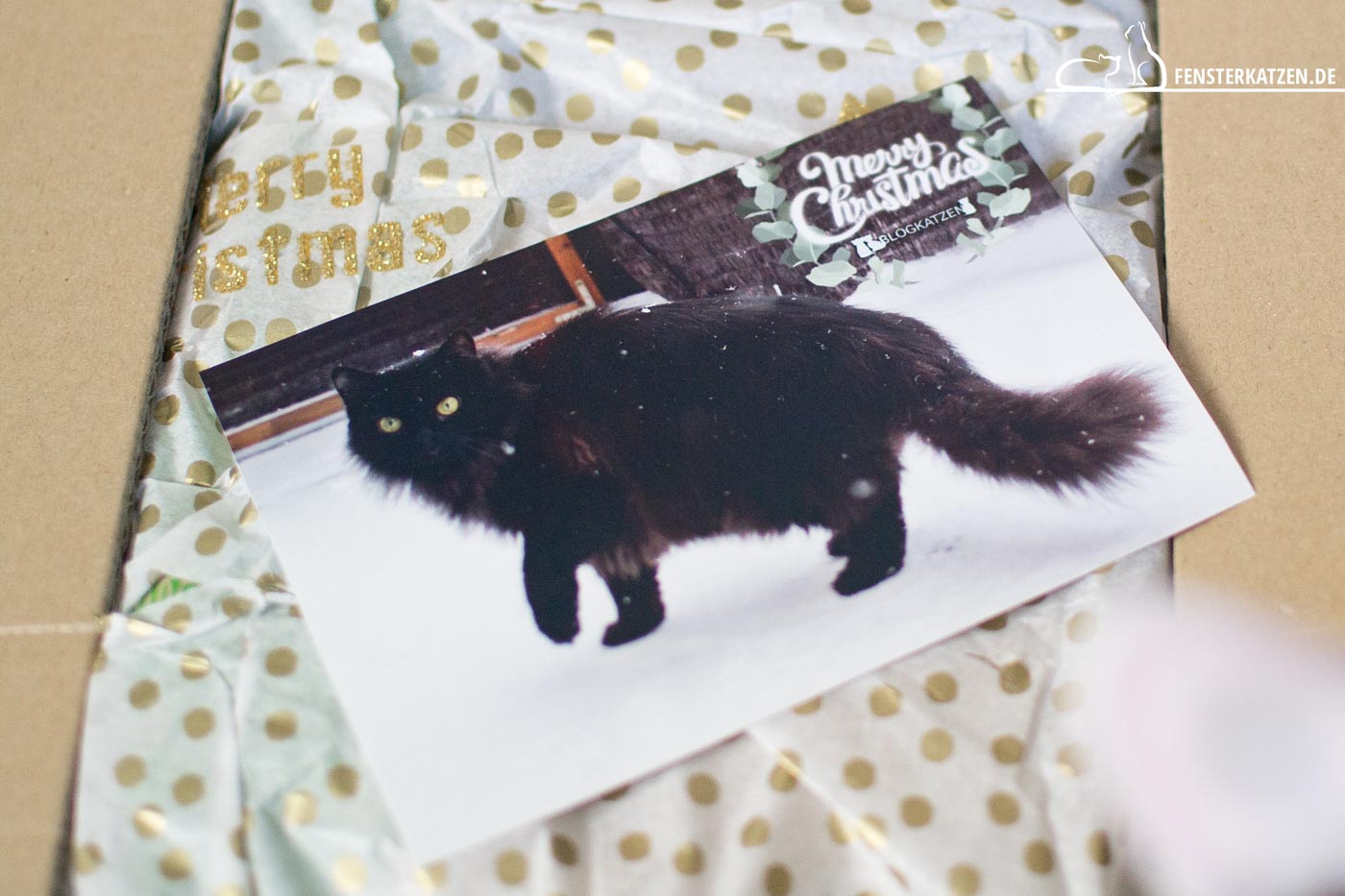 Fensterkatzen-News-Tauschpaket-Blogkatzen-Titelbild