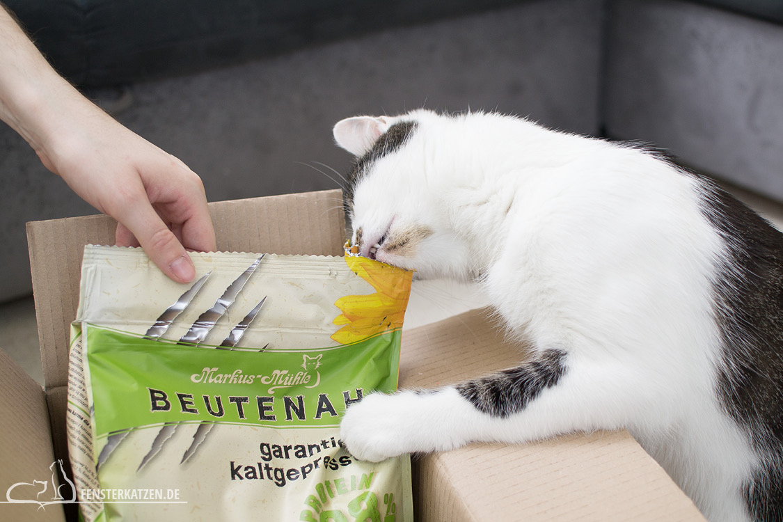 Fensterkatzen-Getestet-Beutenah-Trockenfutter-Markus-Muehle-Beissen
