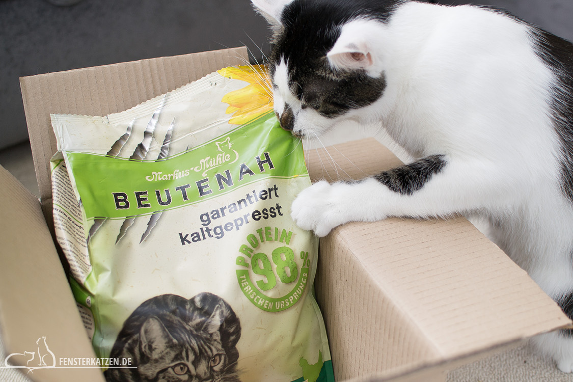 Fensterkatzen-Getestet-Beutenah-Trockenfutter-Markus-Muehle-Flash-beisst-in-Tuete