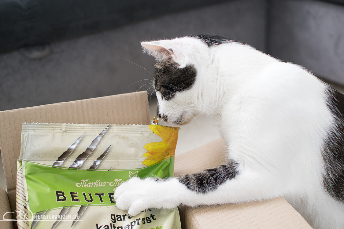 Fensterkatzen-Getestet-Beutenah-Trockenfutter-Markus-Muehle-Krallen