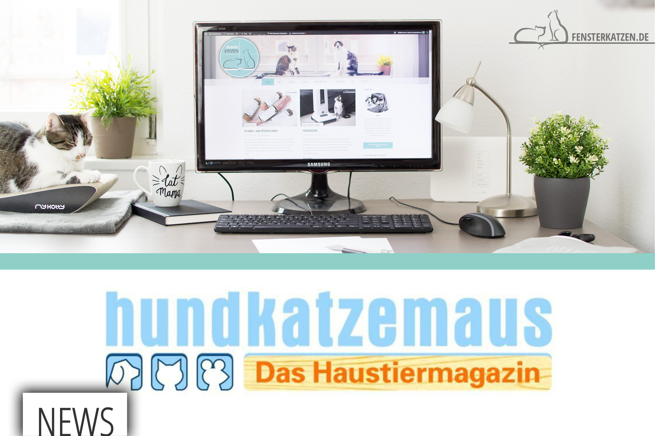 Fensterkatzen Trifft Auf Hundkatzemaus News