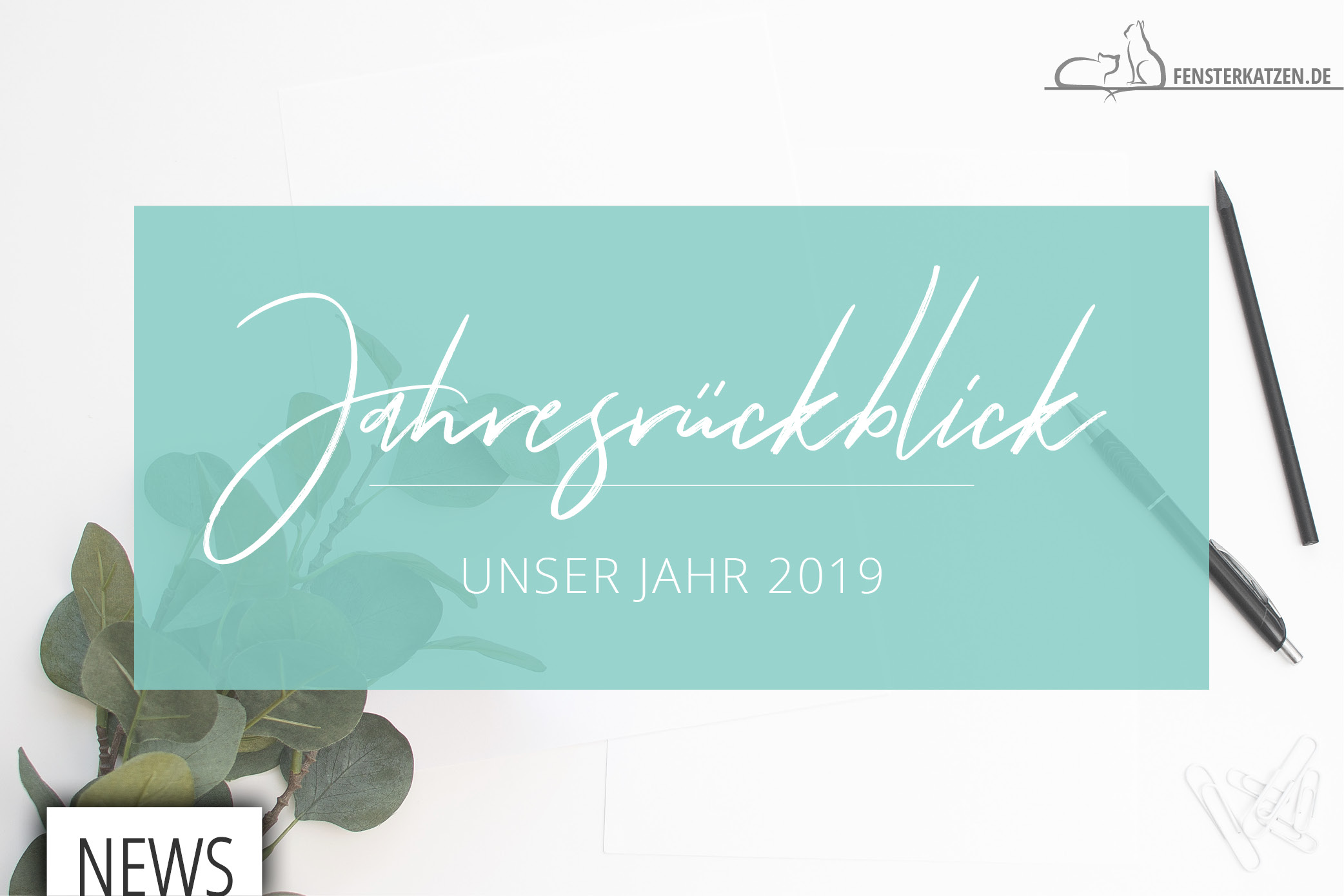 Fensterkatzen-News-Jahresrueckblick-2019-Titelbild