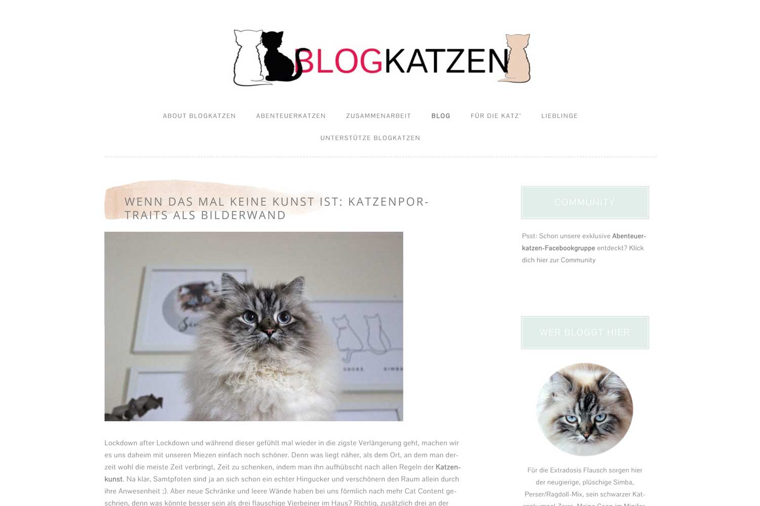 Empfehlung-Katzenblog-Blogkatzen