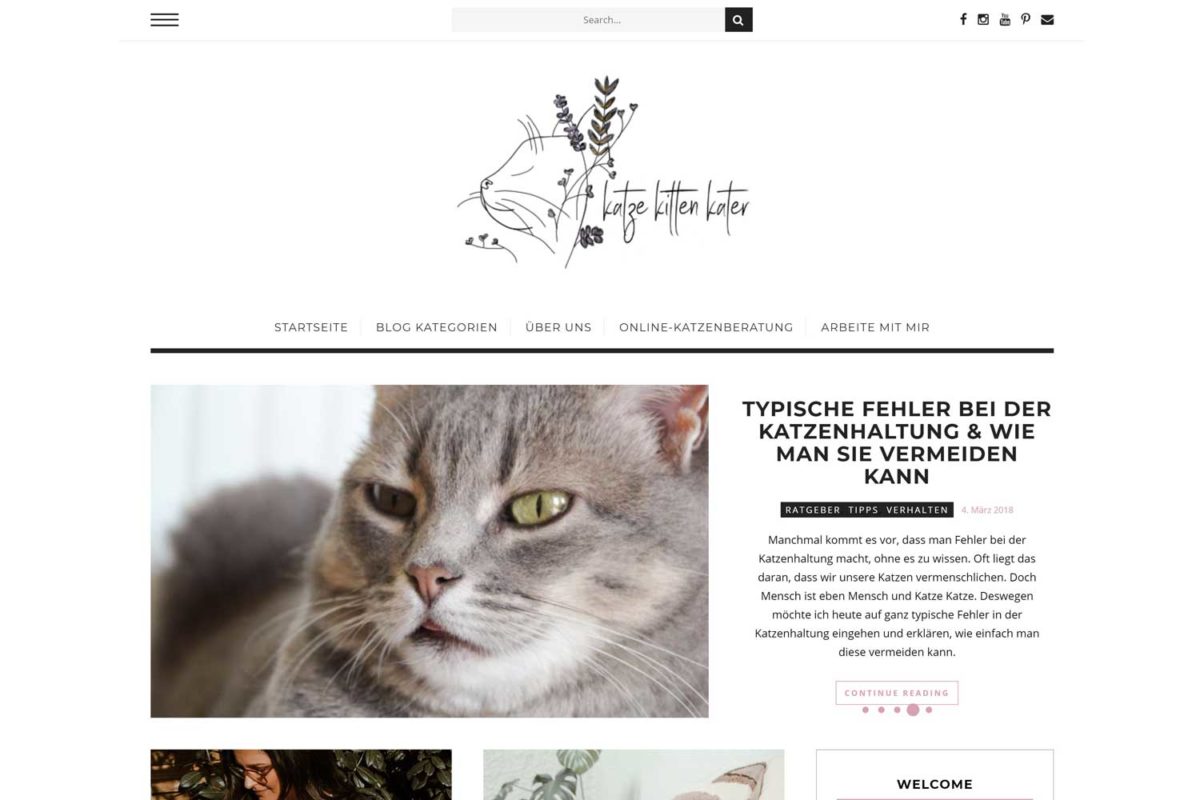 Empfehlung-Katzenblog-KatzeKittenKater