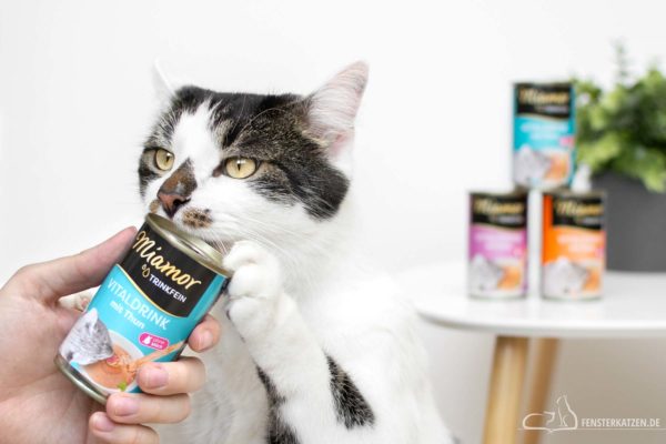 Fensterkatzen-Getestet-Trinkfein-Vitaldrink-Katze-Miamor-Titelbild