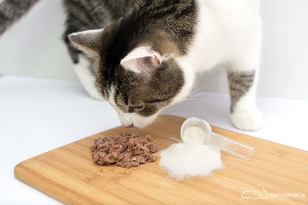 Fensterkatzen-Ratgeber-Ergaenzungsfuttermittel-Katzen-Purapep-Comfort-Titelbild