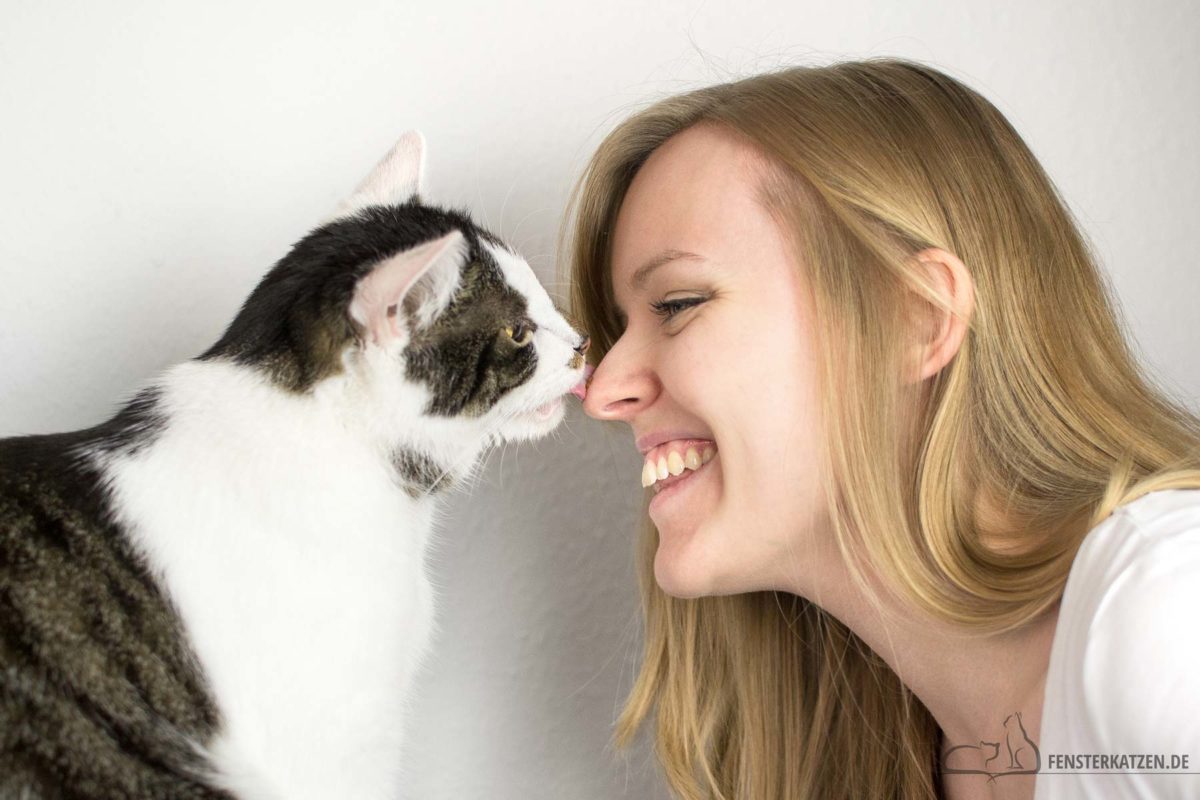 Fensterkatzen-Ratgeber-13-Tipps-harmonische-Katze-Mensch-Beziehung-Titelbild