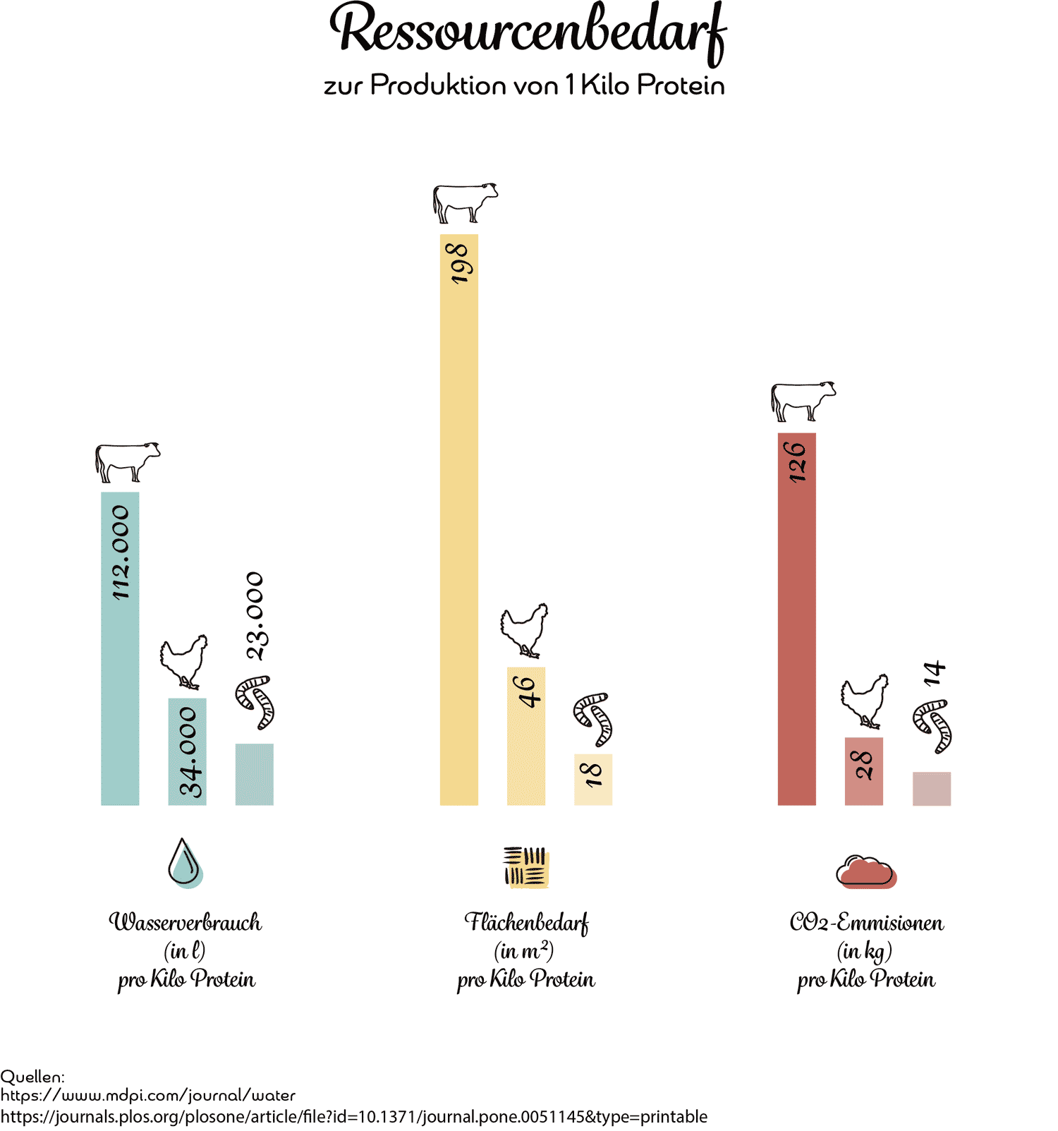Elmely-Infografik-Ressourcenbedarf-Insekten-Katzenfutter-Purridge