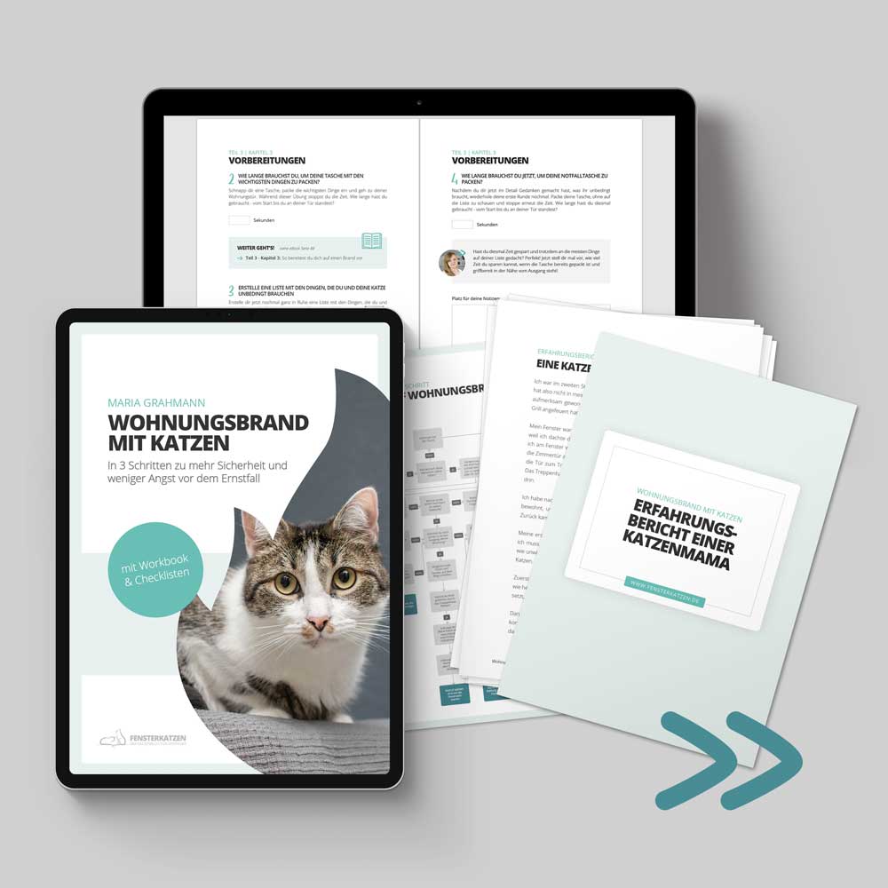 Fensterkatzen-eBook-Wohnungsbrand-mit-Katzen-Mockup-Shop