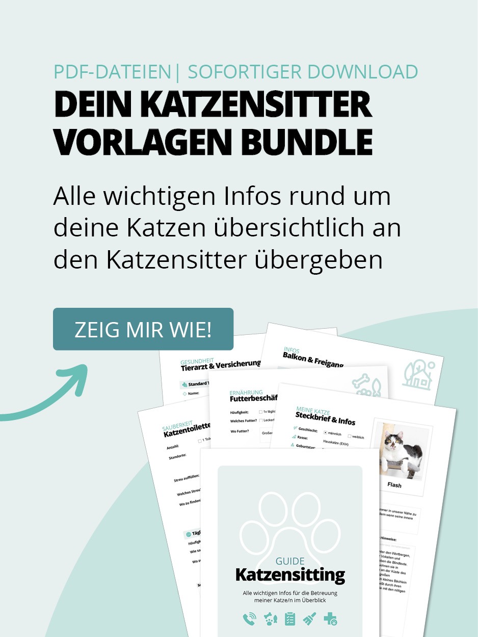 Banner zur Bewerbung eines Bundles von Katzensitter Vorlagen. Es enthält PDF-Beispielseiten, eine große Überschrift, beschreibenden Text und eine blaugrüne Schaltfläche mit der Aufschrift JETZT ANSEHEN.