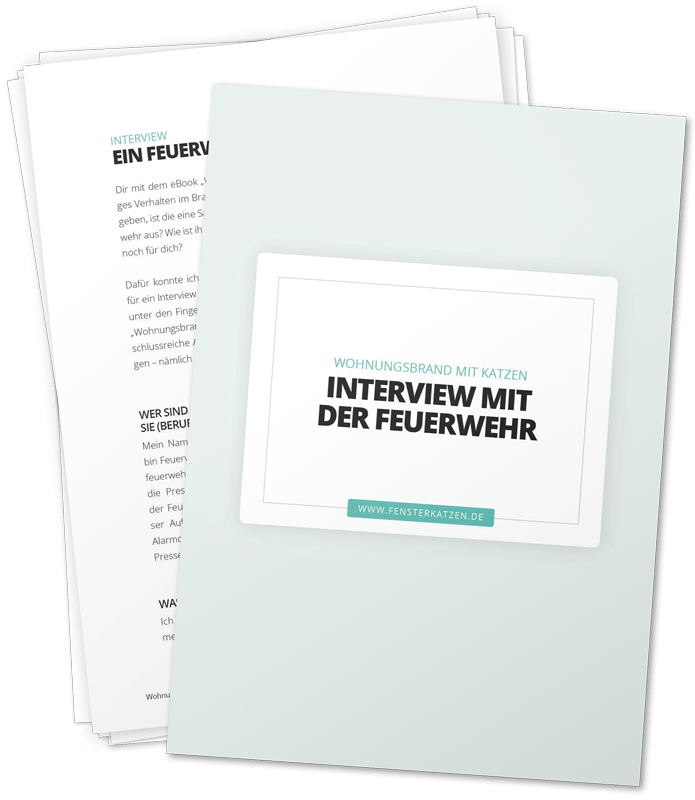 Eine hellblaue Broschüre mit dem Titel Wohnungsbrand mit Katzen liegt auf einem Papierstapel mit deutschem Text. Unter dem Titel erscheint die Website www.ernsterkatzen.de, die den Schwerpunkt auf Brandschutz und Katzen in Wohnungen legt.