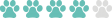 Pfoetchen-4 Pfoetchen-4